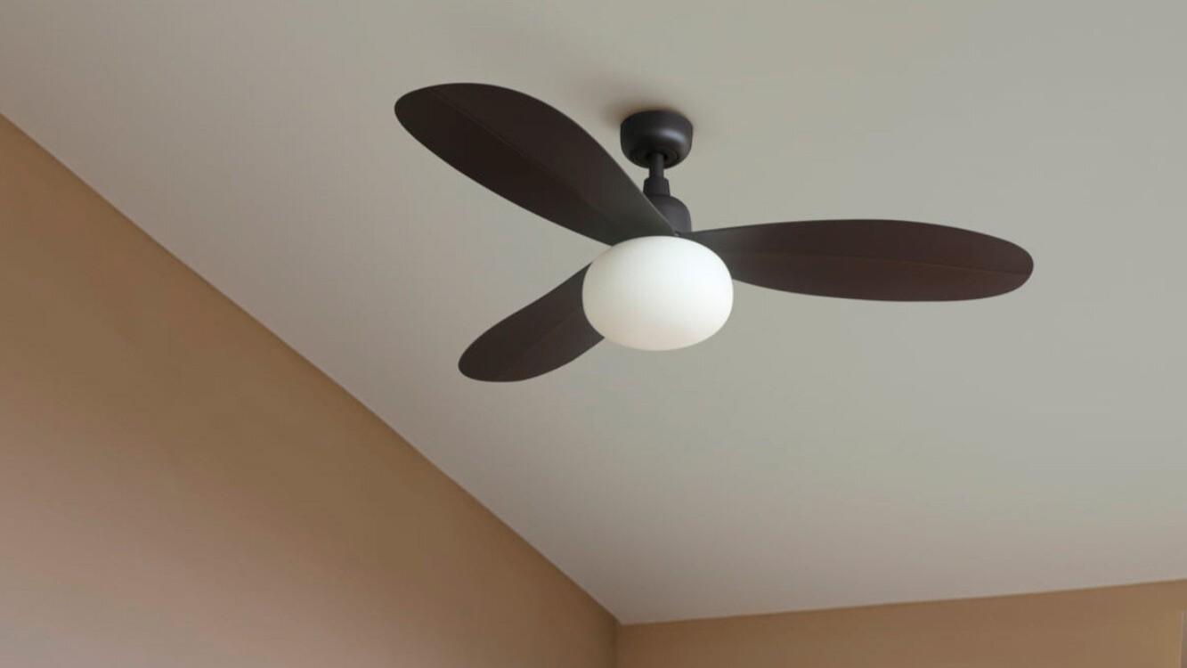 Palma