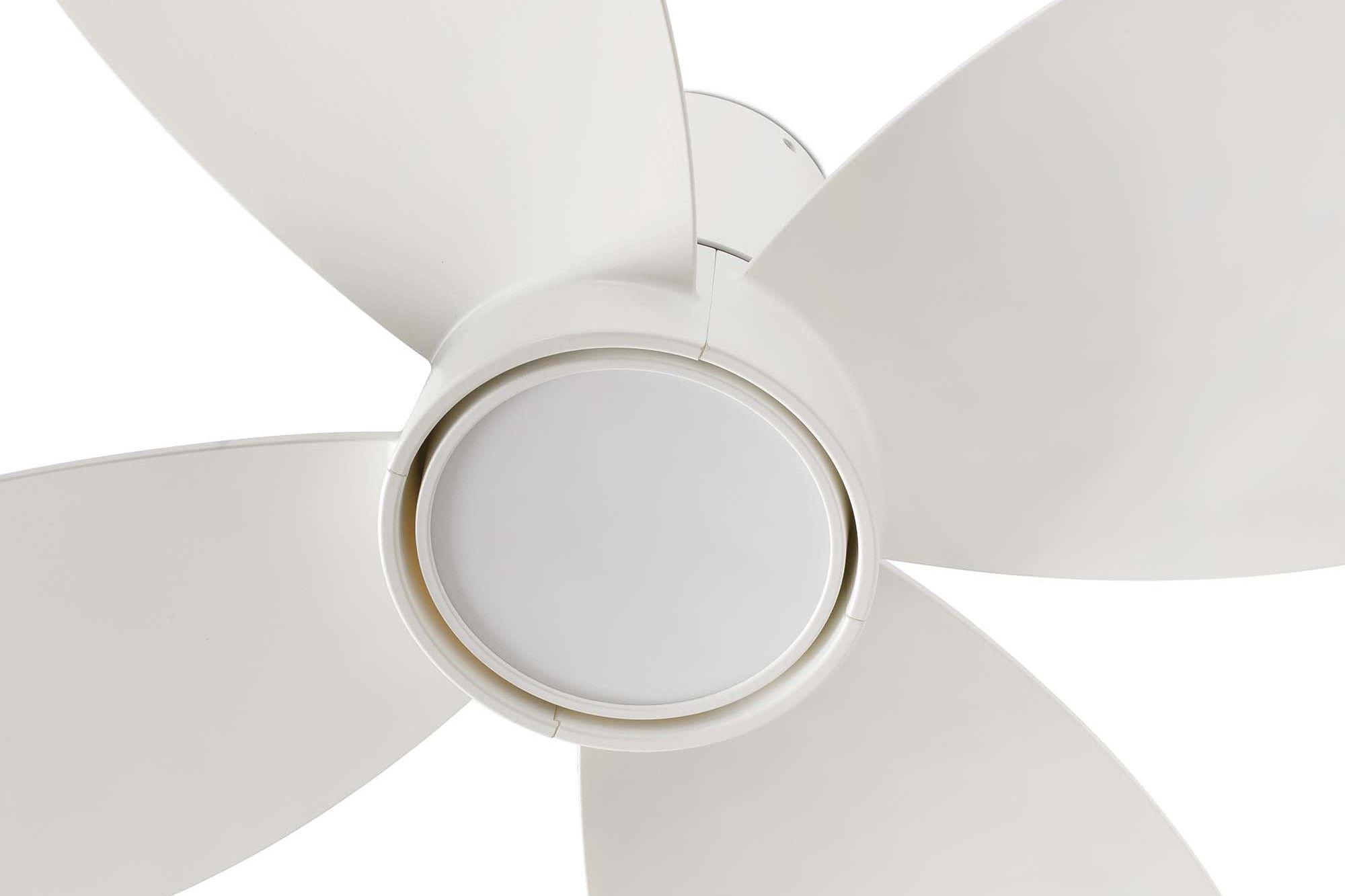 Clover 80cm White-White Ceiling Fan with Light & Remote Control by Faro