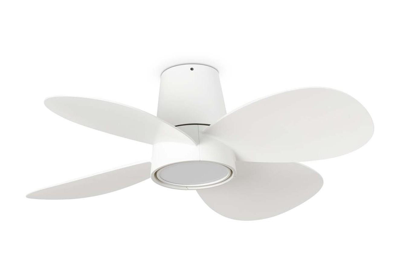 Clover 80cm White-White Ceiling Fan with Light & Remote Control by Faro