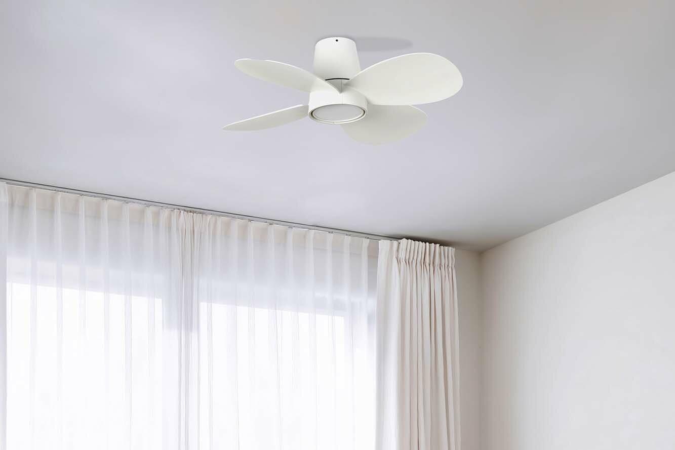 Clover 80cm White-White Ceiling Fan with Light & Remote Control by Faro