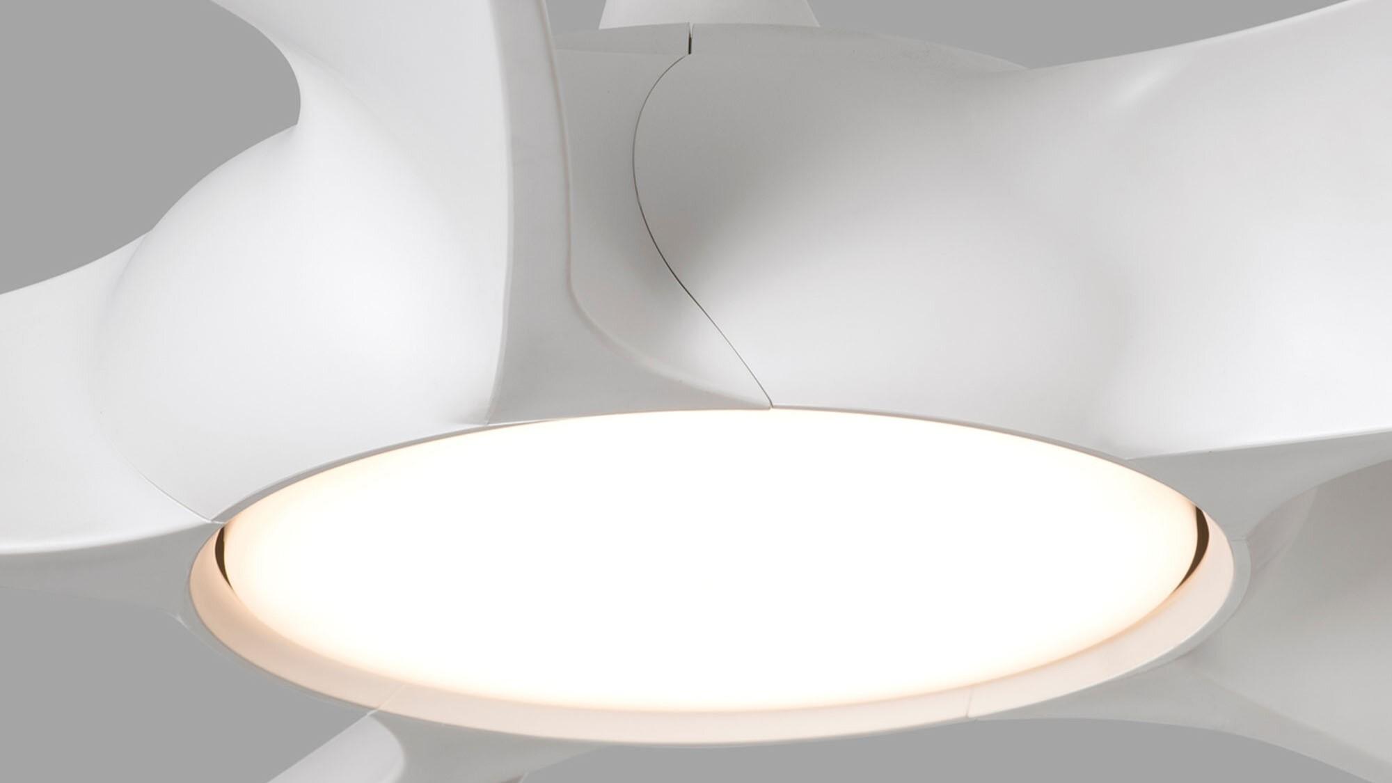 Cocos 137cm White-White Ceiling Fan with Light & Remote Control by Faro