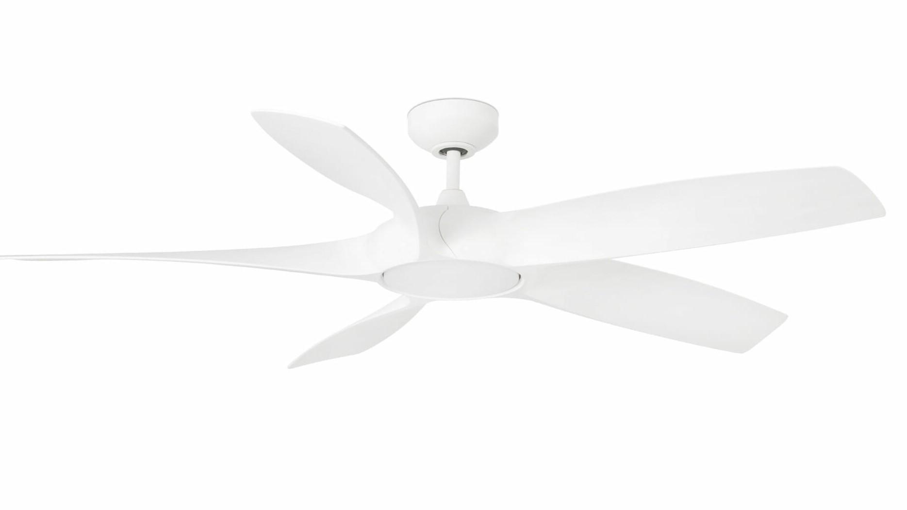 Cocos 137cm White-White Ceiling Fan with Light & Remote Control by Faro