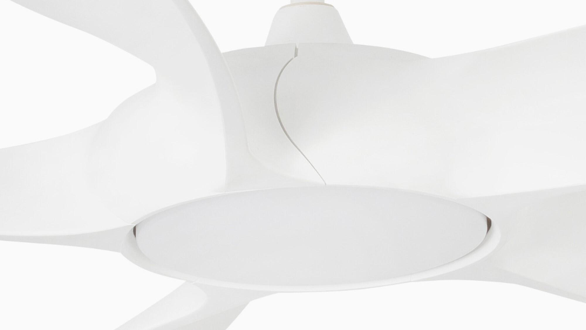 Cocos 137cm White-White Ceiling Fan with Light & Remote Control by Faro