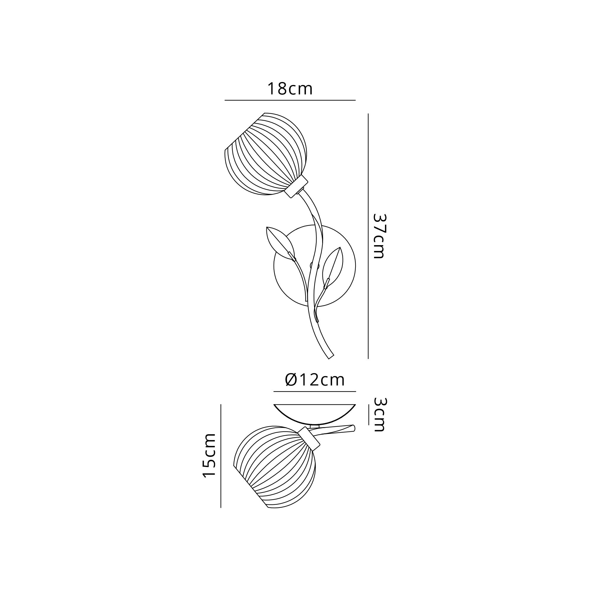 Elm Left Wall Light
