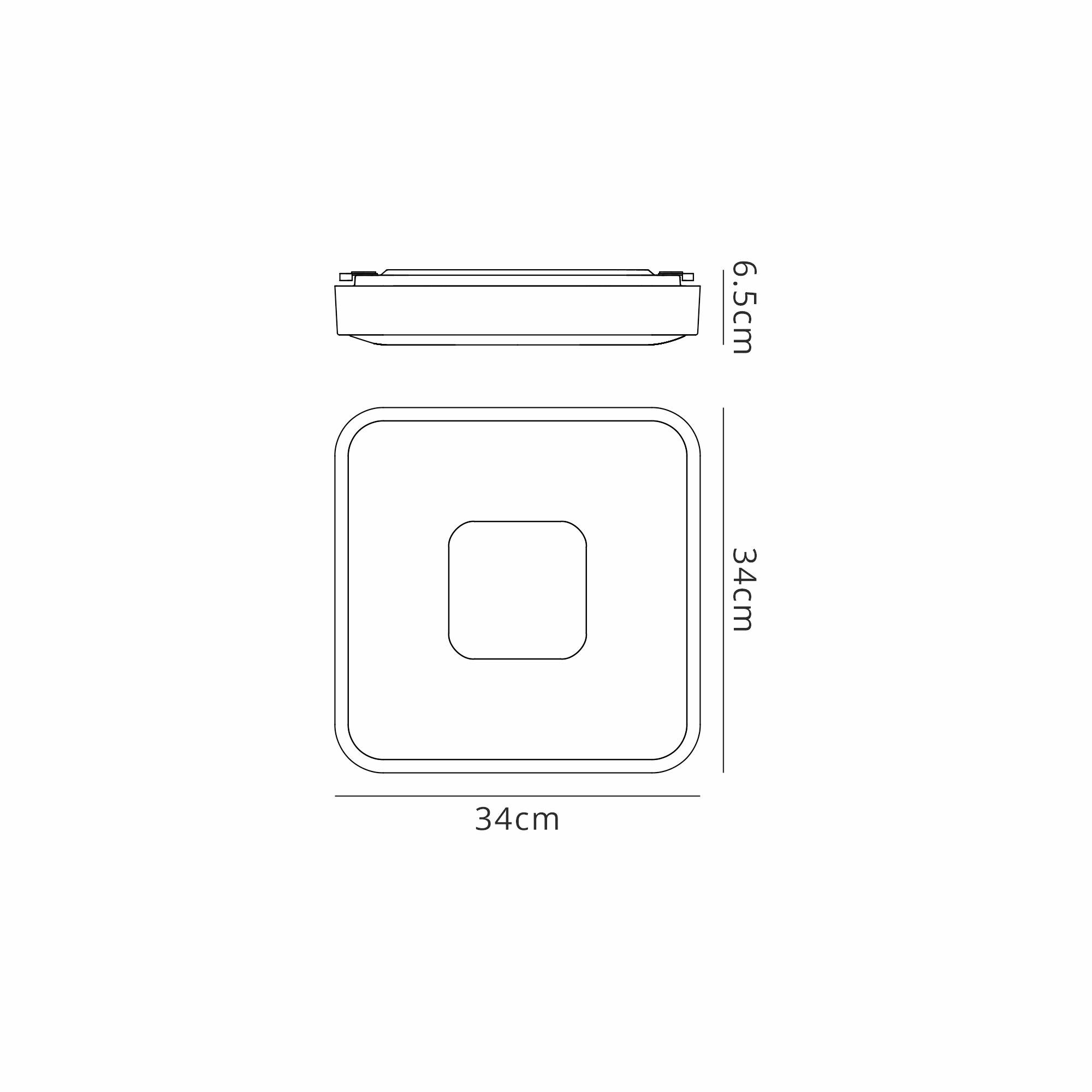 Coin Square Ceiling