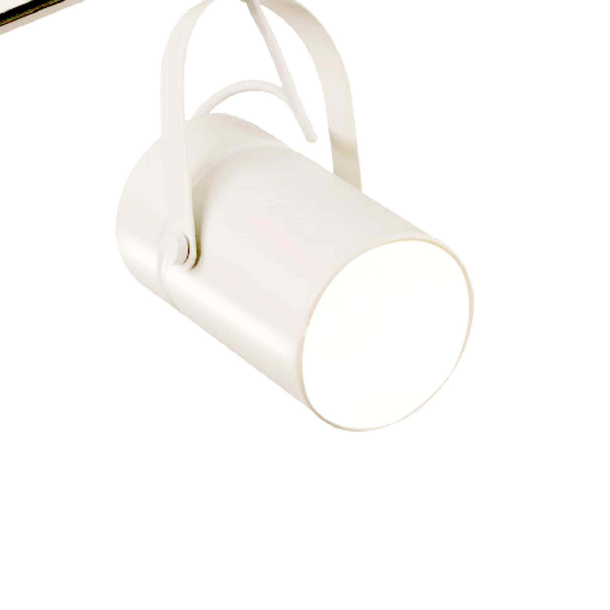 Aruba Track Spot Light