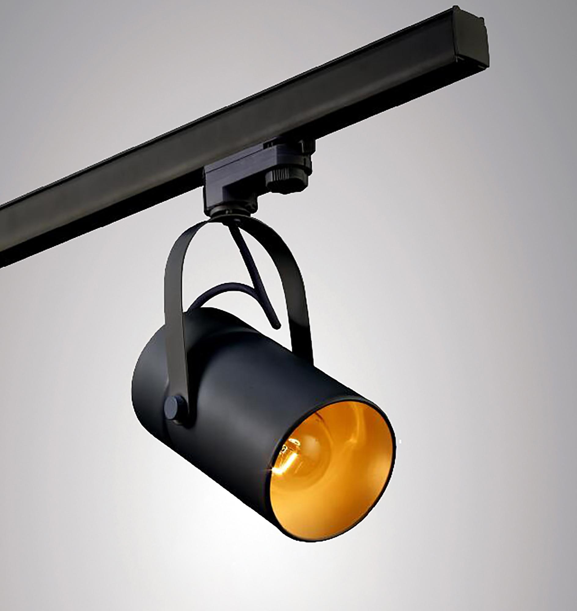 Aruba Track Spot Light
