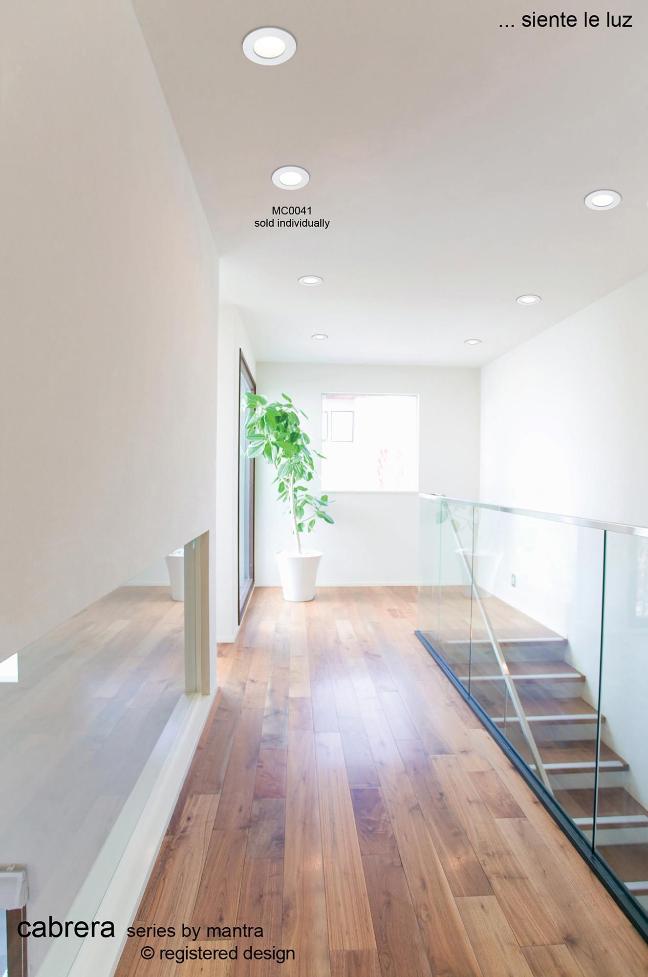 Cabrera Downlight