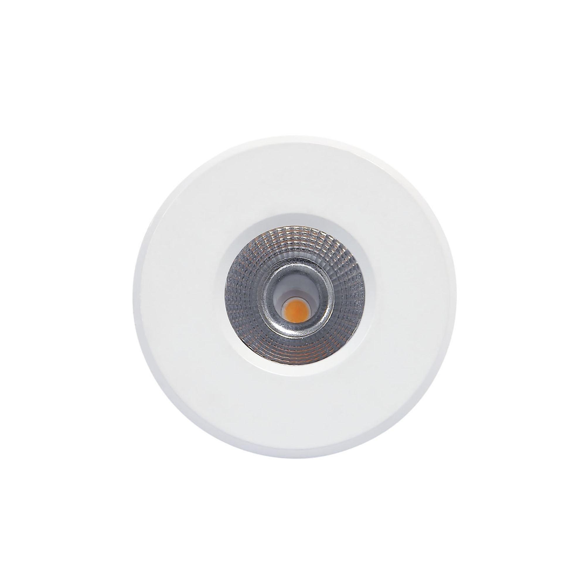 Cies Downlight