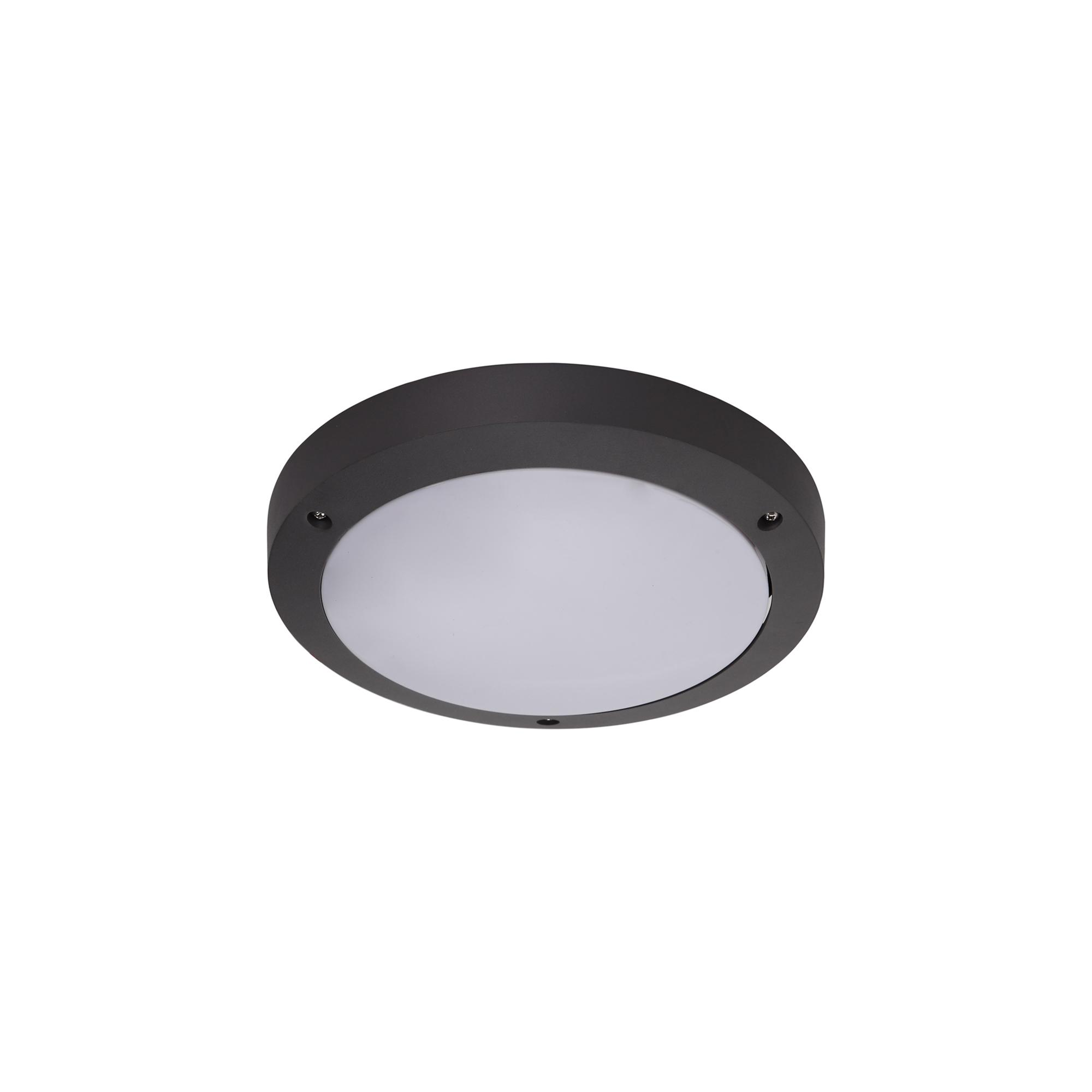 Daru Plain Bulkhead Wall Lamp