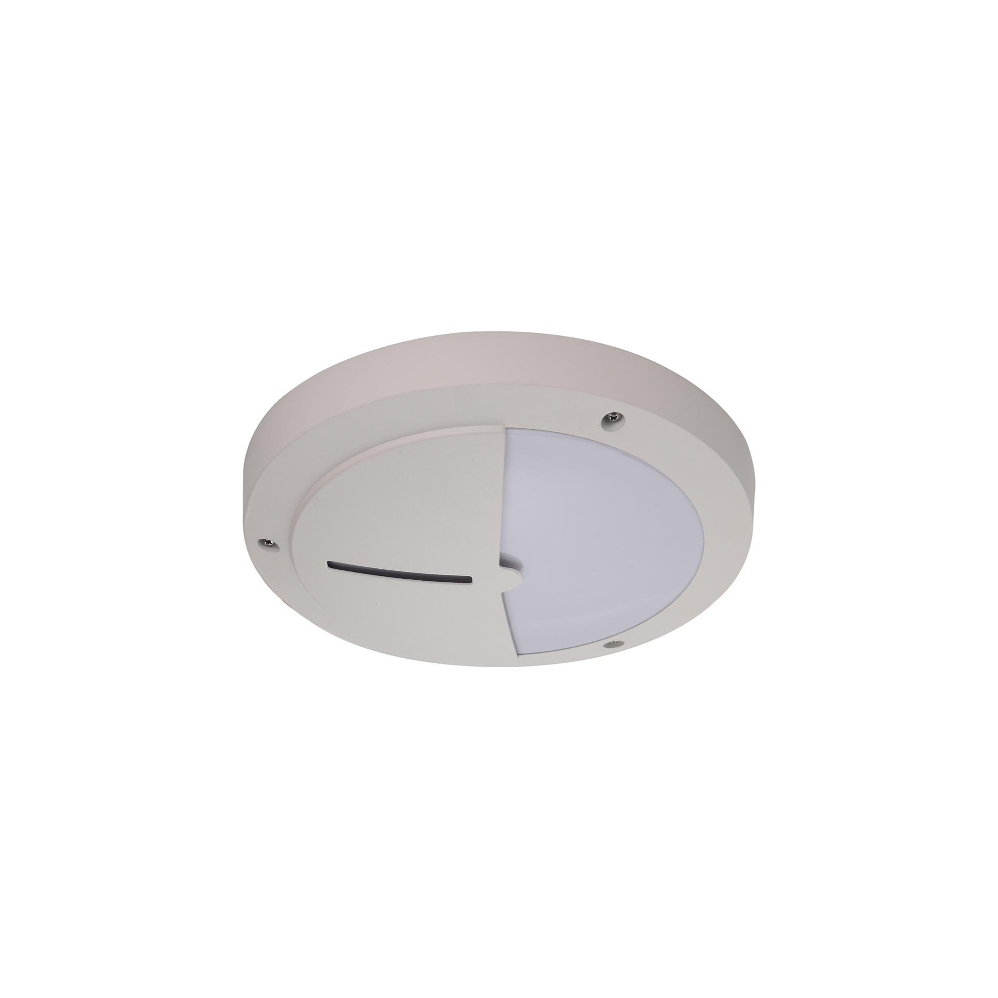 Daru Eyelid Bulkhead Wall Lamp