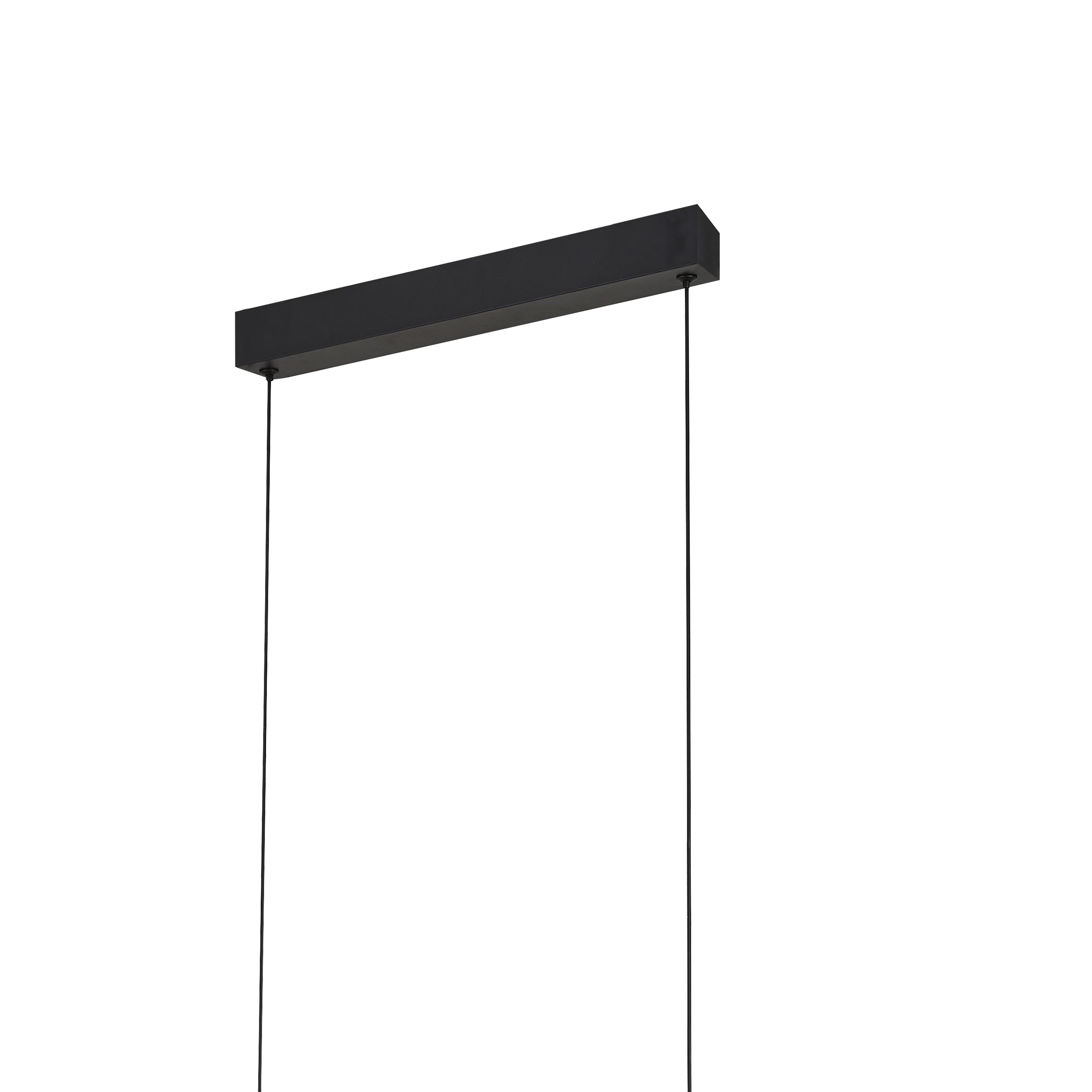 Lineal