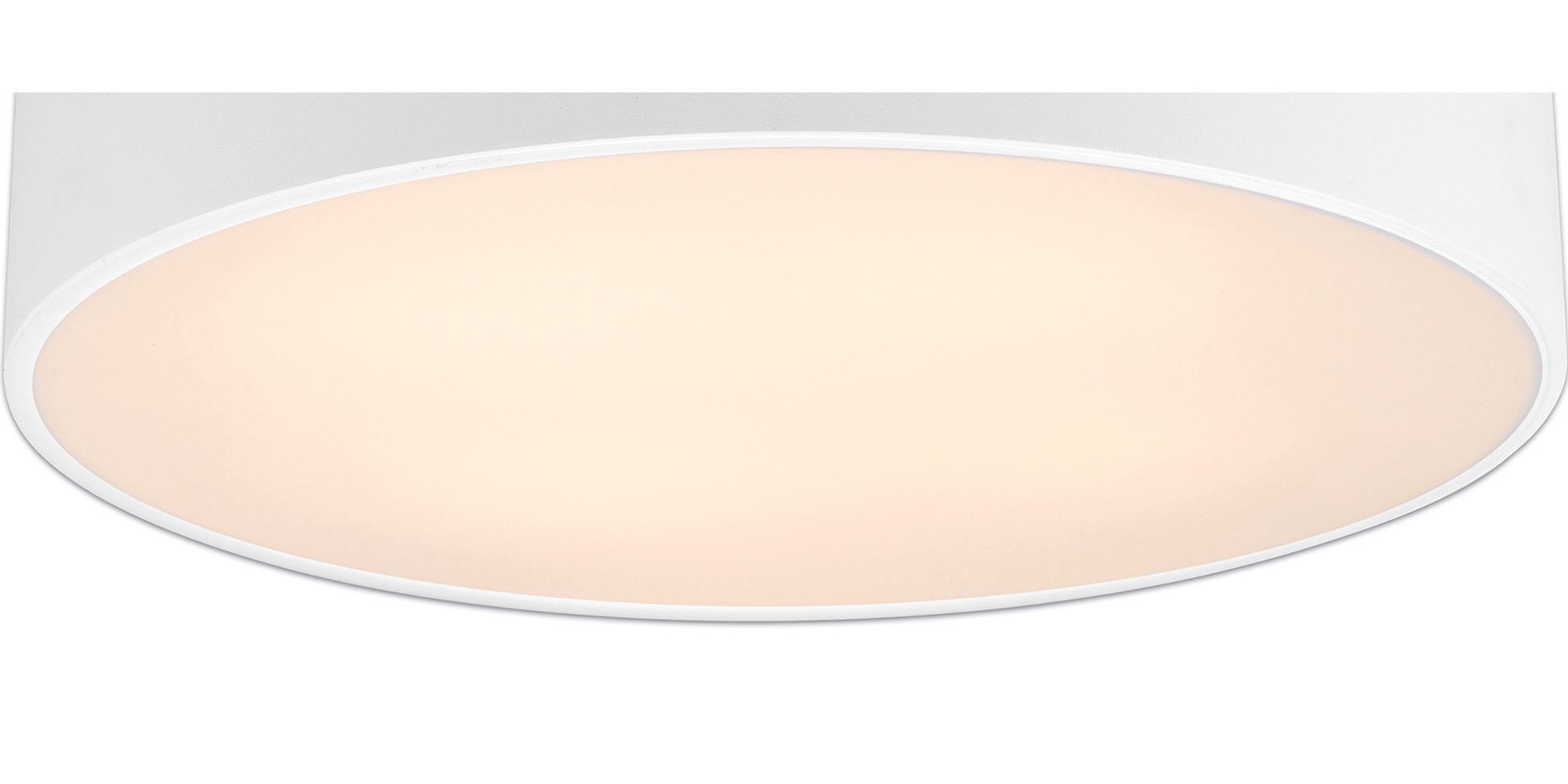 Mini Ceiling
