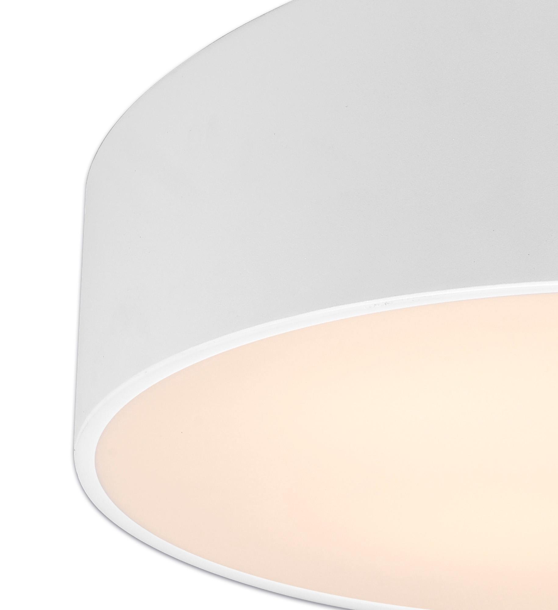 Mini Ceiling