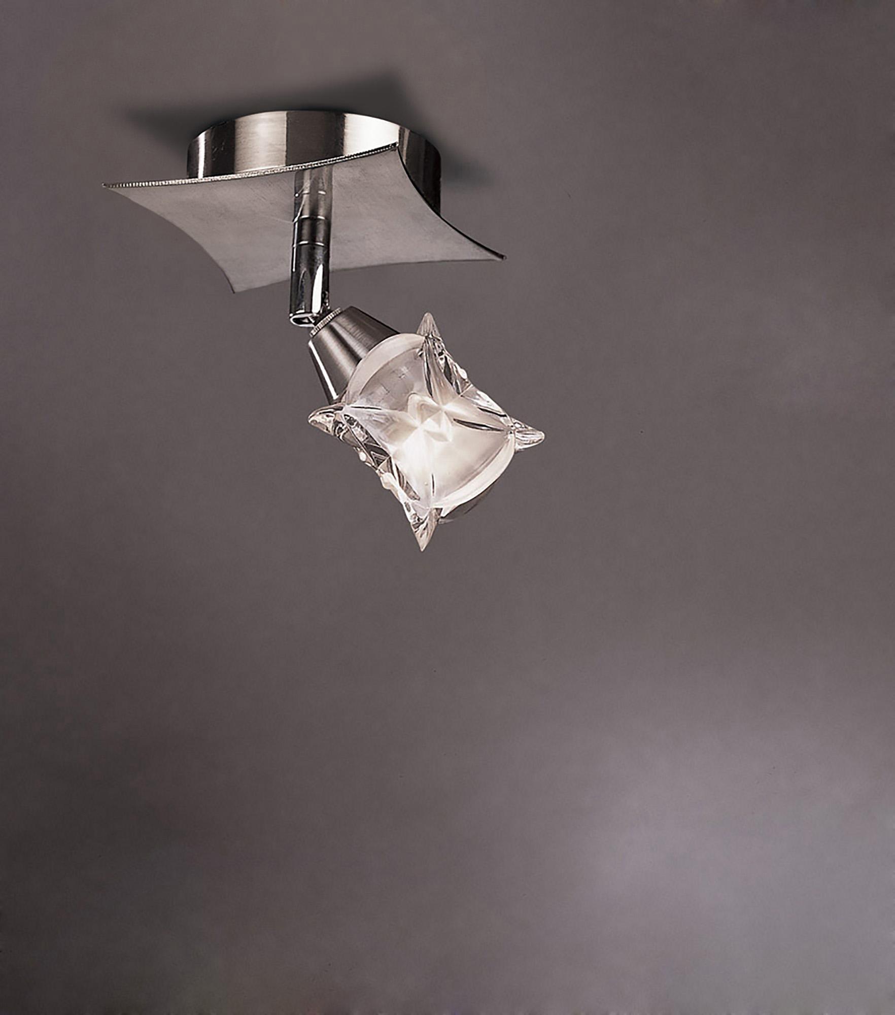 Rosa 15cm Del Desierto Spot 1 Switched Light G9 With Adjustable Head, Satin Nickel
