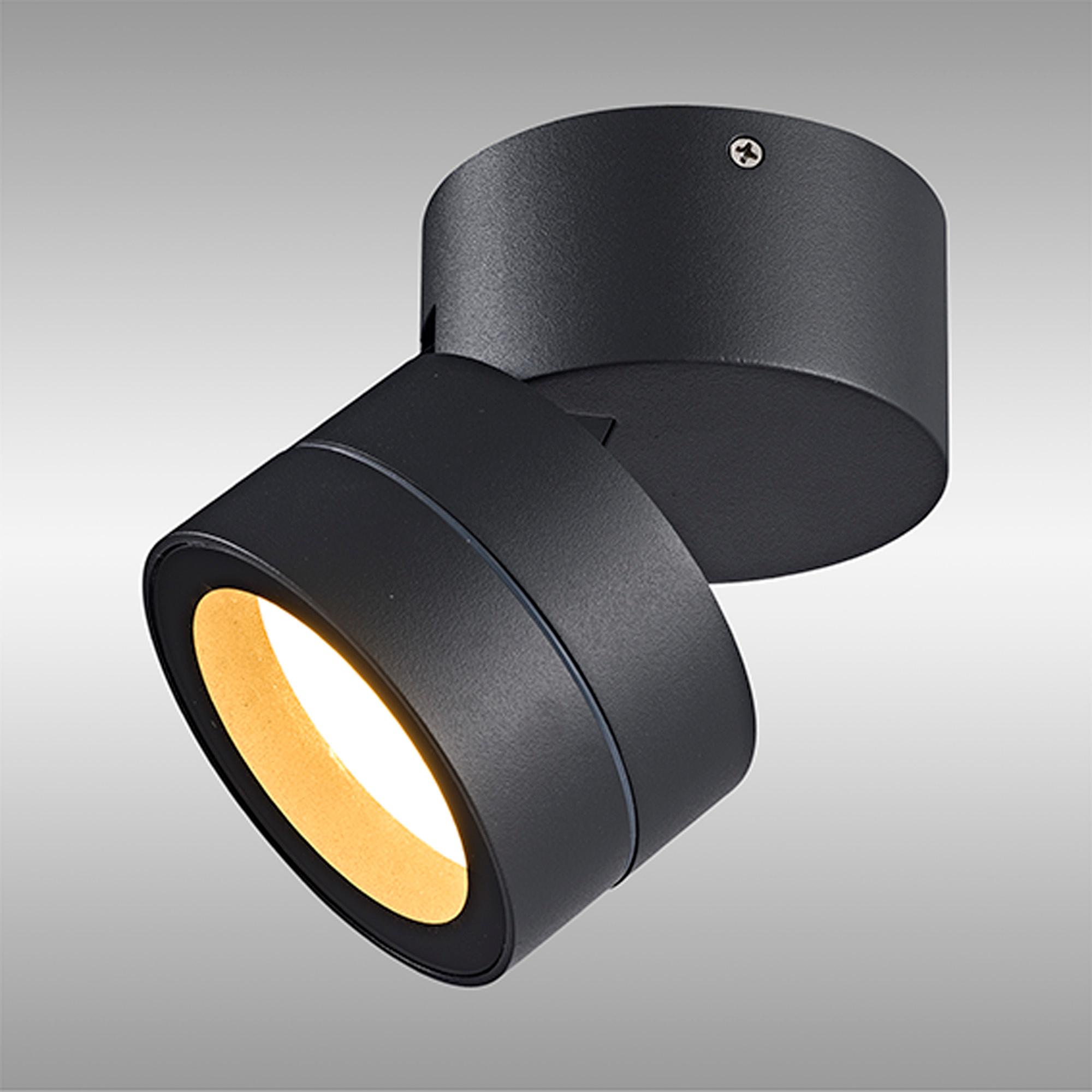 Saler Adjustable Dimmable Ceiling Spotlight/Wall Light