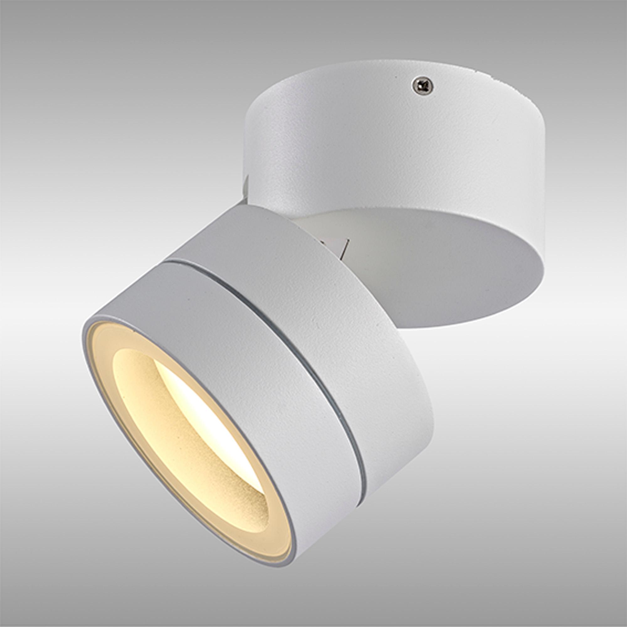 Saler Adjustable Ceiling Spotlight/Wall Light