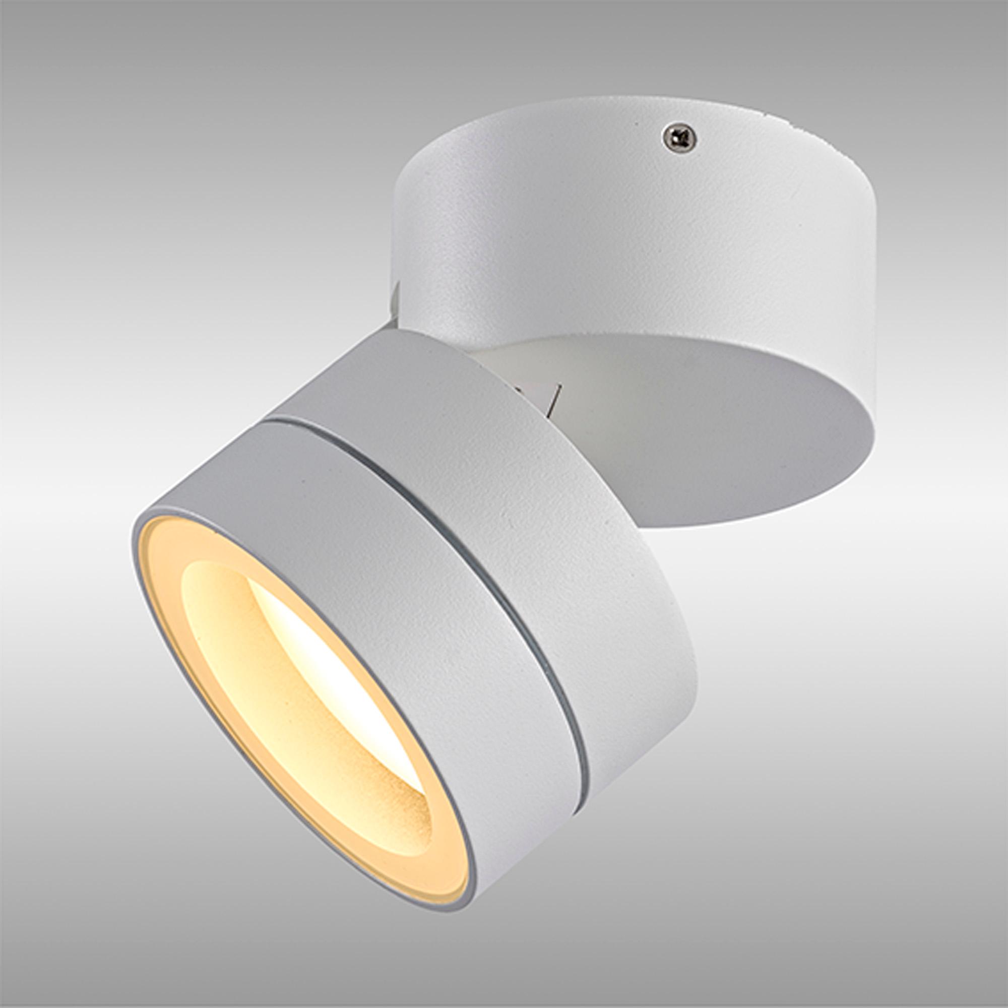 Saler Adjustable Dimmable Ceiling Spotlight/Wall Light