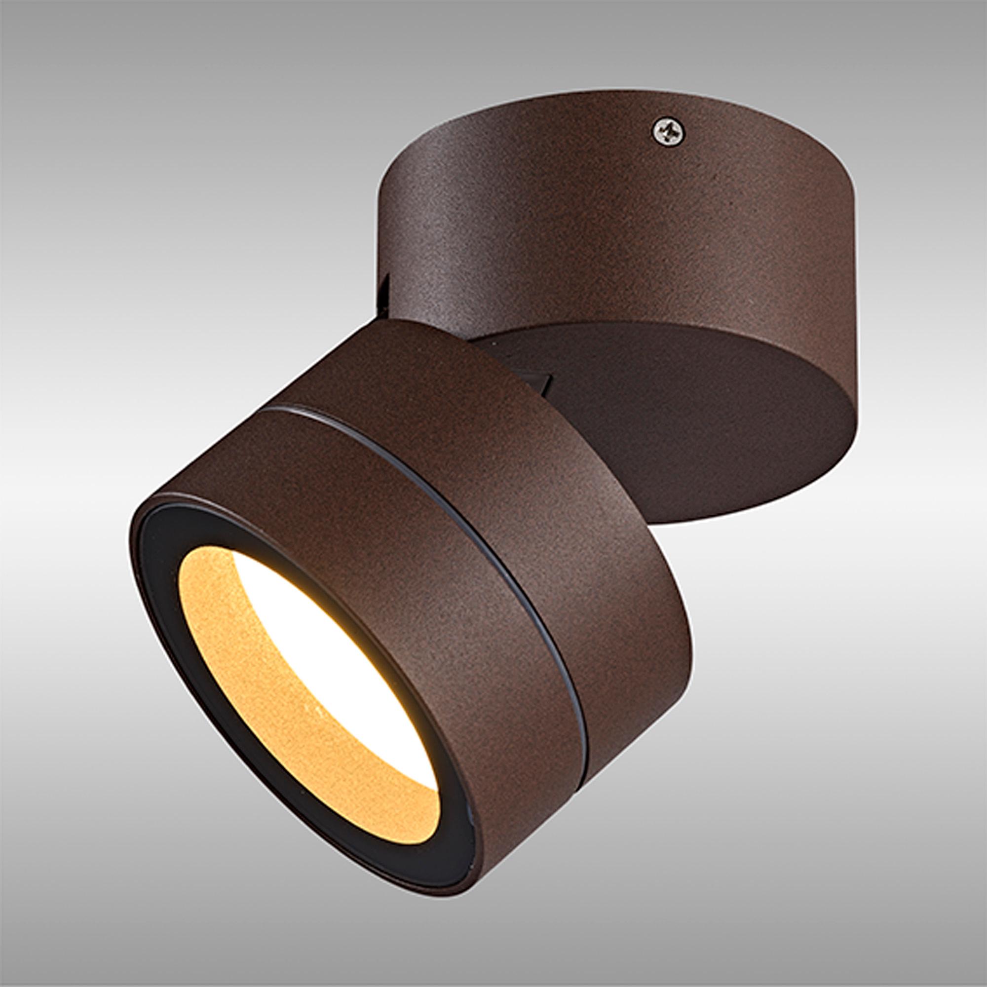 Saler Adjustable Ceiling Spotlight/Wall Light, 1 Light, With Replaceable 12W LEDs, 3000K, Rust Brown, IP65, 2yrs Warranty
