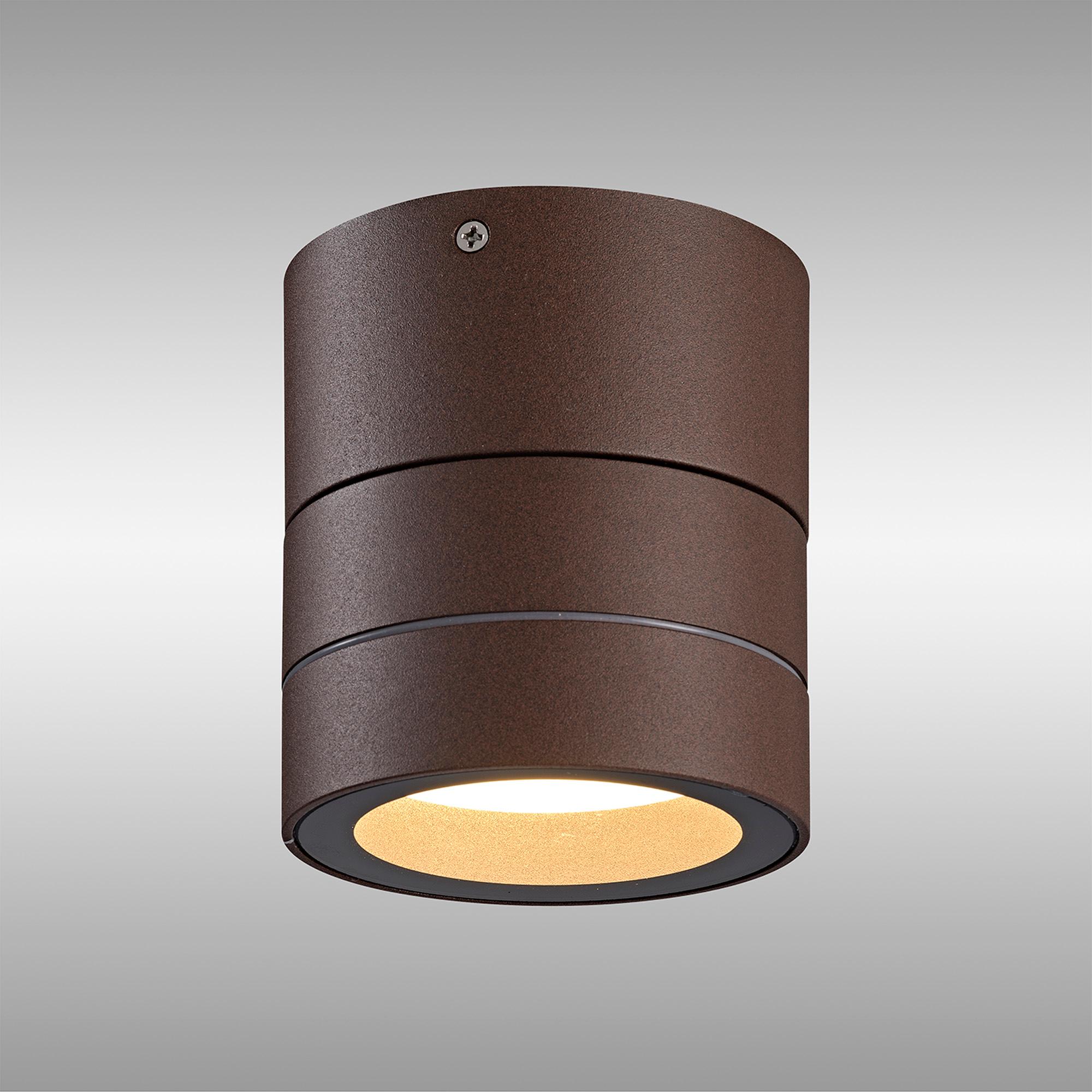 Saler Adjustable Ceiling Spotlight/Wall Light, 1 Light, With Replaceable 12W LEDs, 3000K, Rust Brown, IP65, 2yrs Warranty