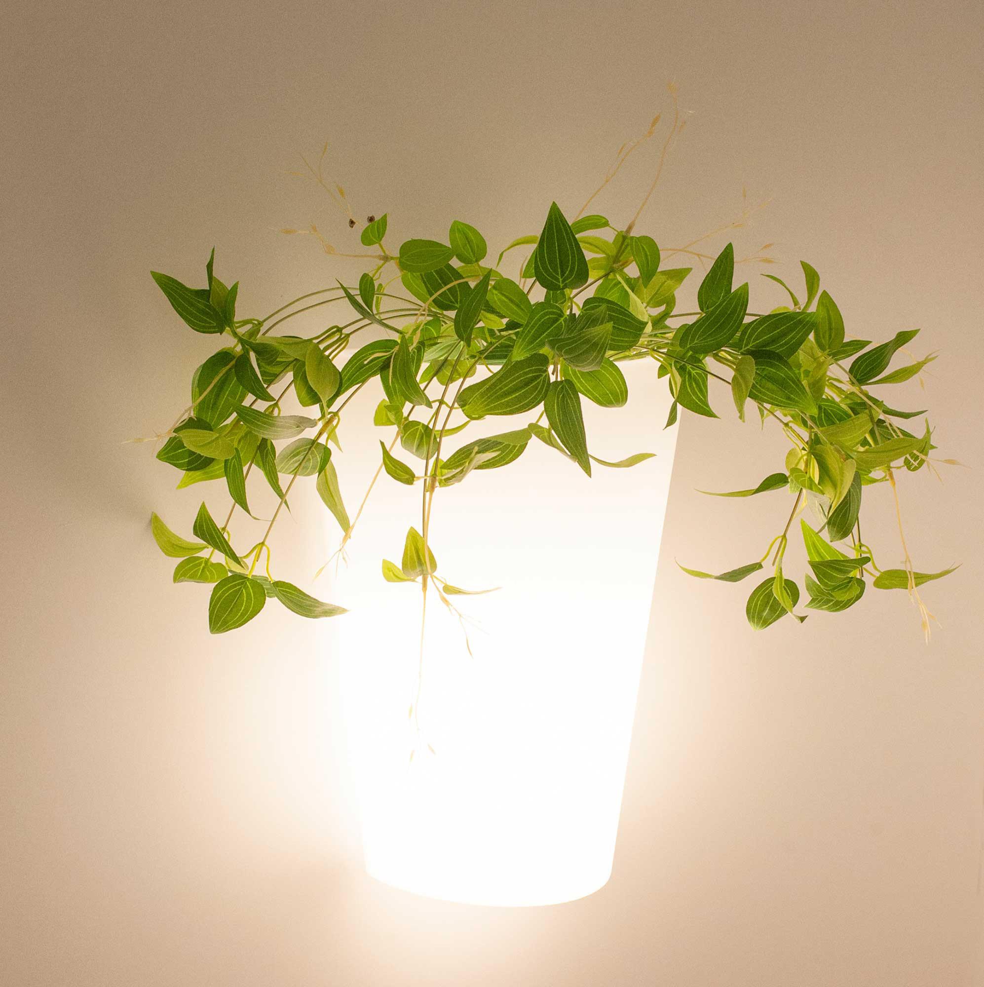 Teja Wall Lamp, 1 x E27, IP54, White, 2yrs Warranty