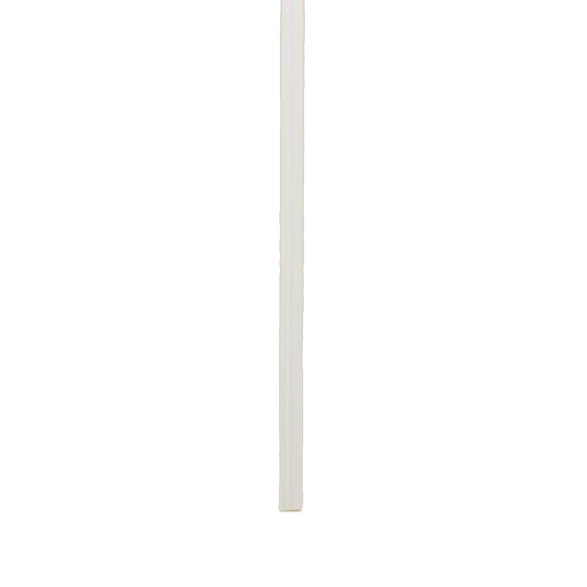 Torch