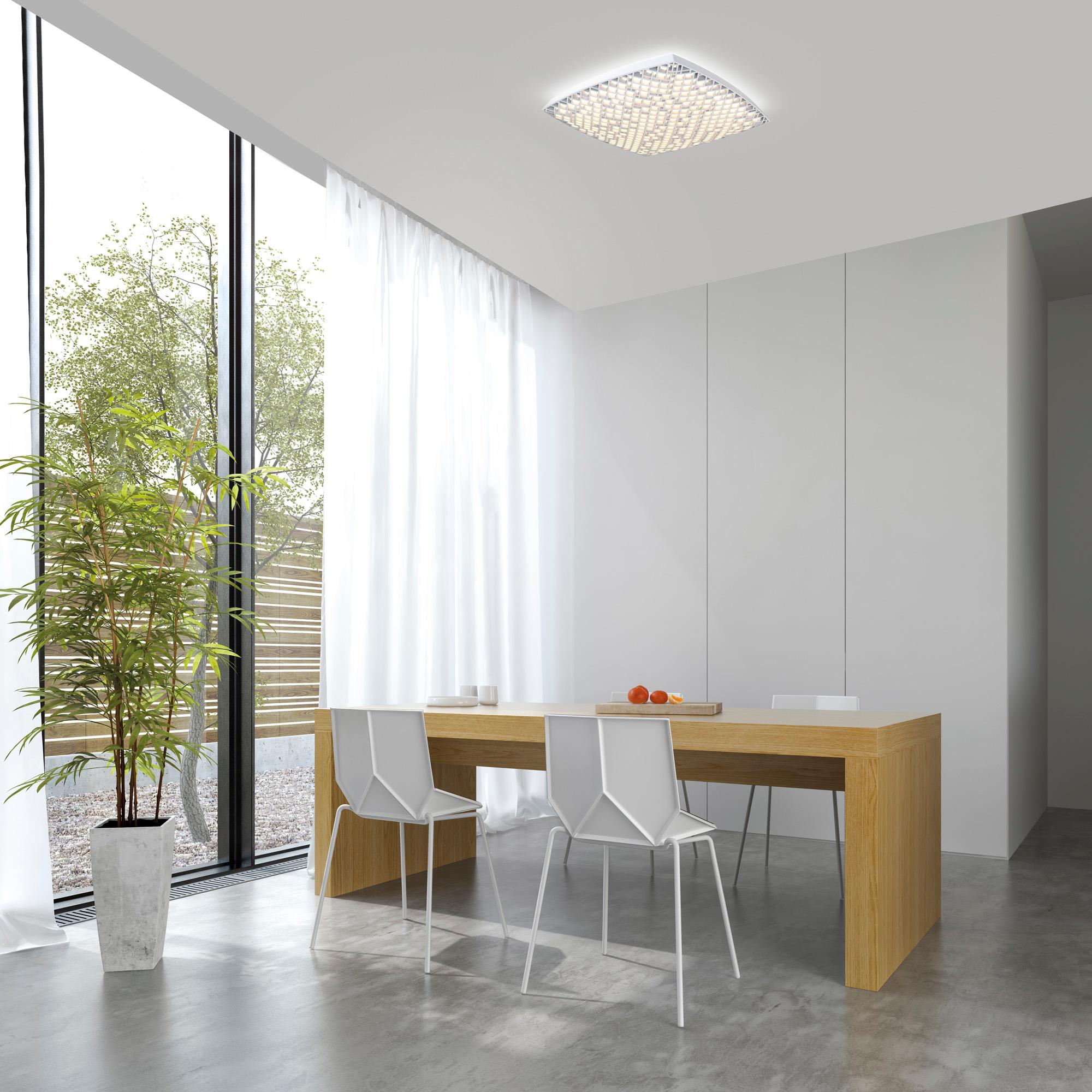 Urban Ceiling Light