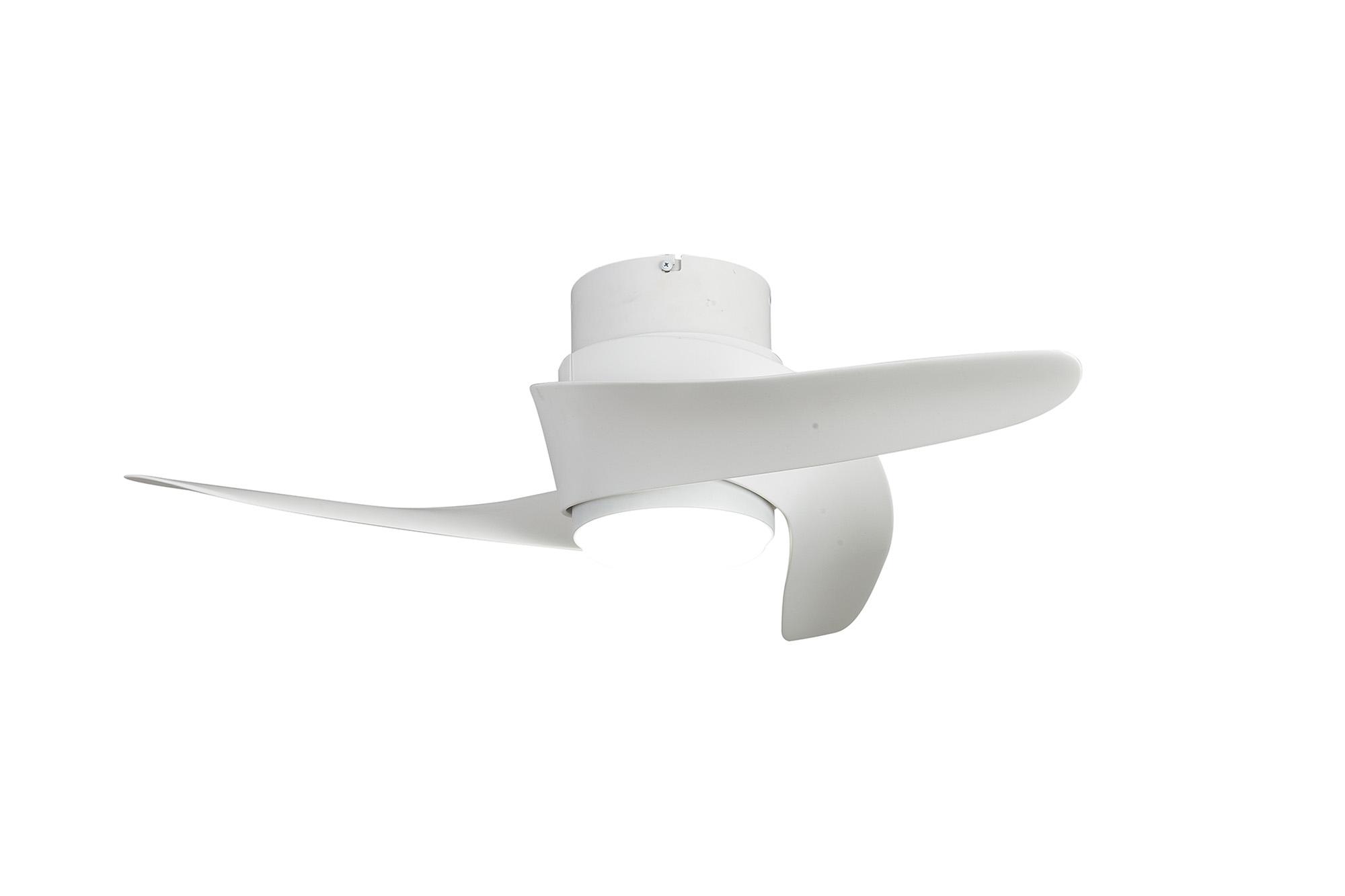 Groenland XS